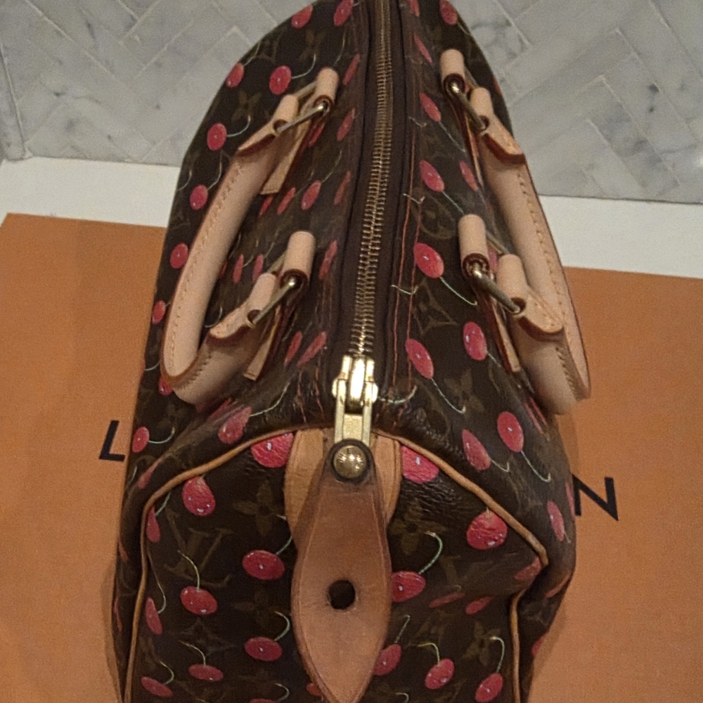 Louis Vuitton Takashi Murakami Cherry🍒🍒🍒 Speedy25 - Picture 6 of 15